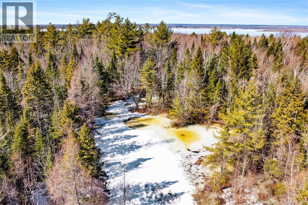 Lot Cox Point Road, Cumberland Bay, New Brunswick  O0O 0O0 - Photo 11 - NB135659