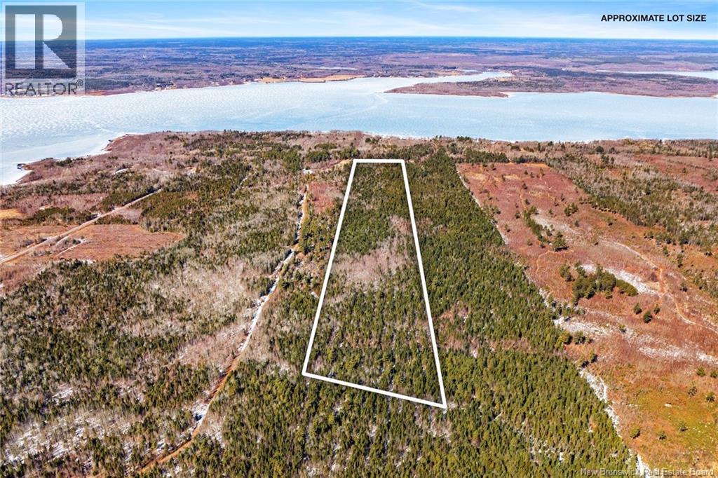 Lot Cox Point Road, Cumberland Bay, New Brunswick  O0O 0O0 - Photo 6 - NB135659
