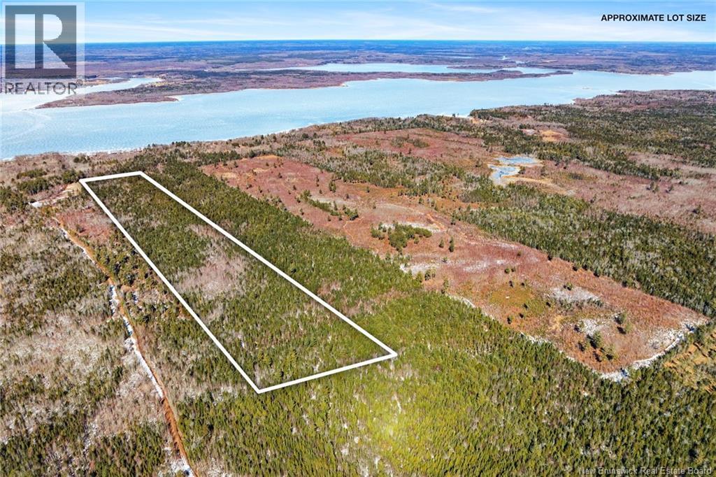 Lot Cox Point Road, Cumberland Bay, New Brunswick  O0O 0O0 - Photo 8 - NB135659