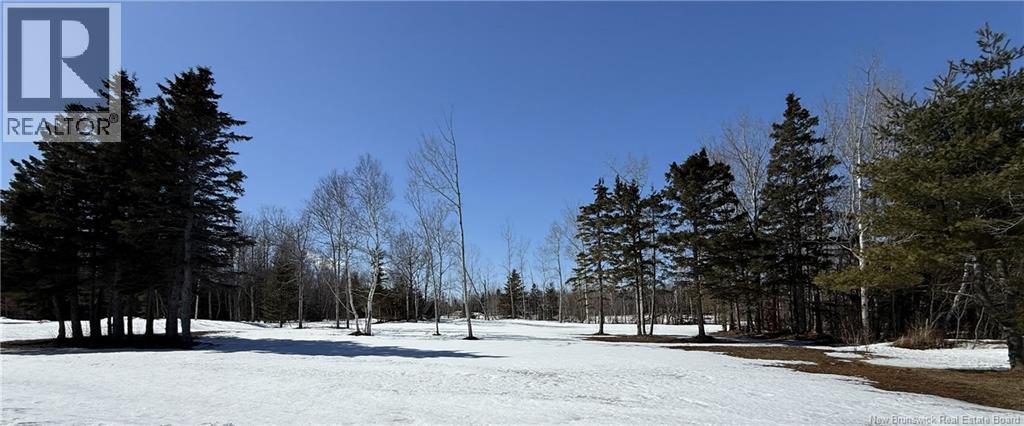 3,425 Mc 12e Rue, Shippagan, New Brunswick  E8S 1C4 - Photo 5 - NB135745