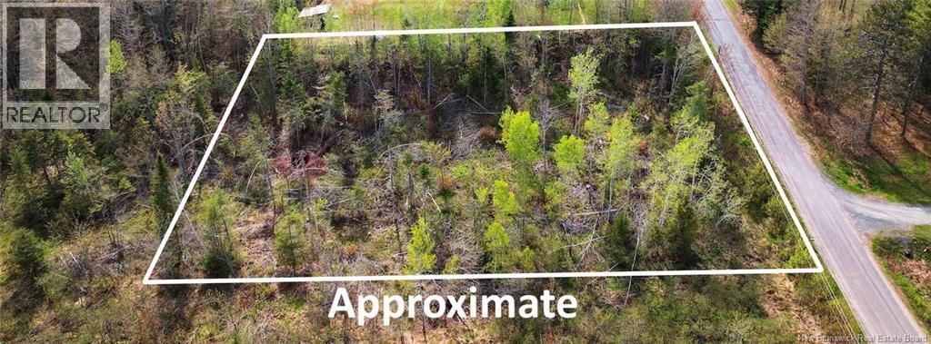 Lot 24-1 Lauvina Road, Geary, New Brunswick E2V 0O0 - Photo 4 - NB135792