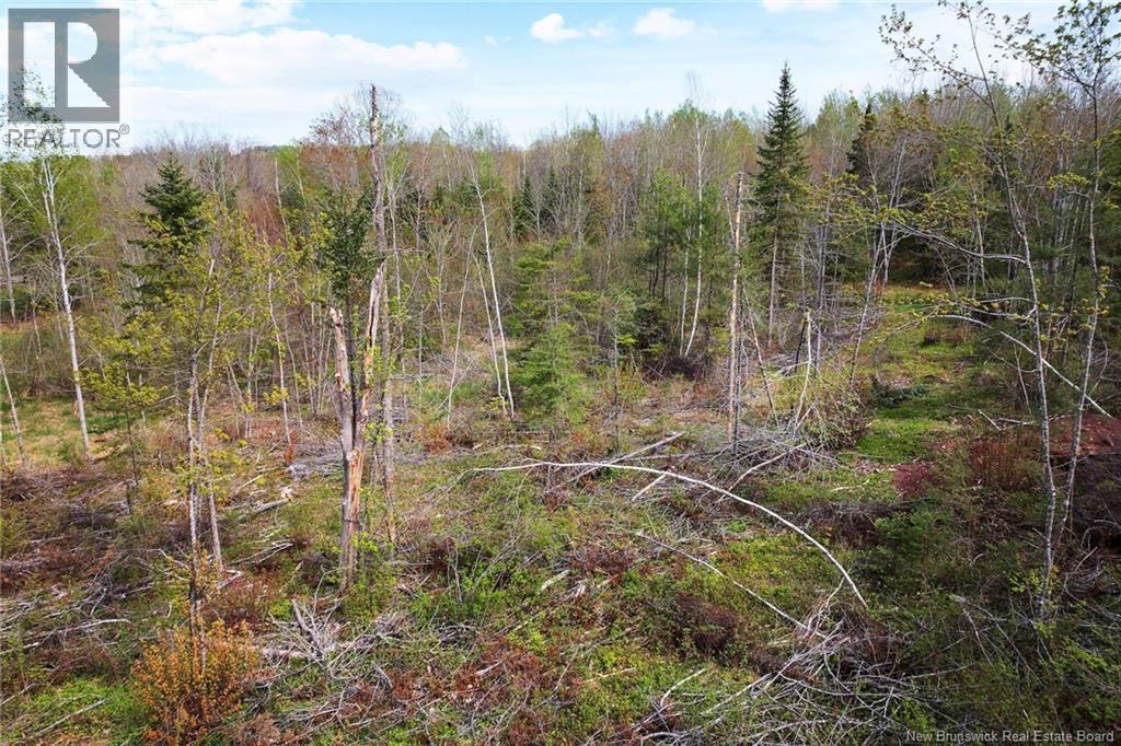 Lot 24-1 Lauvina Road, Geary, New Brunswick E2V 0O0 - Photo 8 - NB135792