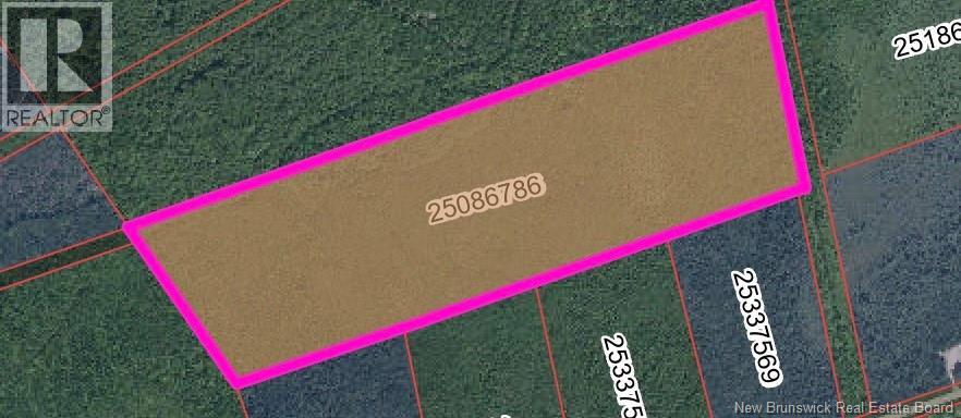 Vacant Lot Rte 465 Beersville, Beersville, New Brunswick  E4T 2N8 - Photo 2 - NB134782