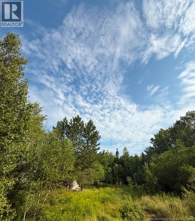 Lot Route 126, Birch Ridge, New Brunswick