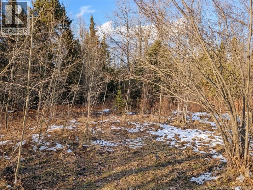 Lot Route 126, Birch Ridge, New Brunswick  E4T 3M4 - Photo 3 - NB135821