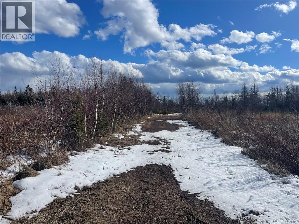 Lot 95-5 P'tit Barachois Road, Grand-Barachois, New Brunswick  E4P 7Y3 - Photo 3 - NB135618
