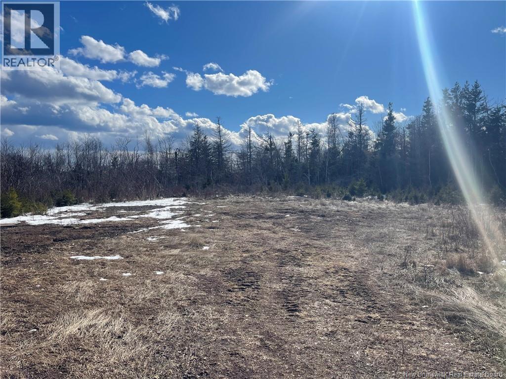 Lot 95-5 P'tit Barachois Road, Grand-Barachois, New Brunswick  E4P 7Y3 - Photo 4 - NB135618
