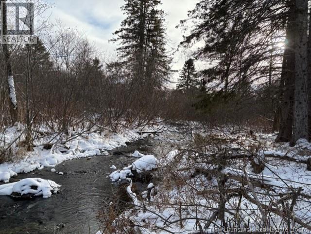 Lot Route 845, Kingston, New Brunswick  E5N 1E7 - Photo 14 - NB135803