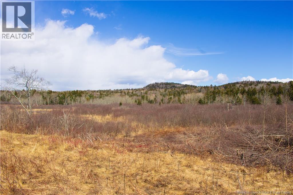 Lot Route 845, Kingston, New Brunswick  E5N 1E7 - Photo 4 - NB135803