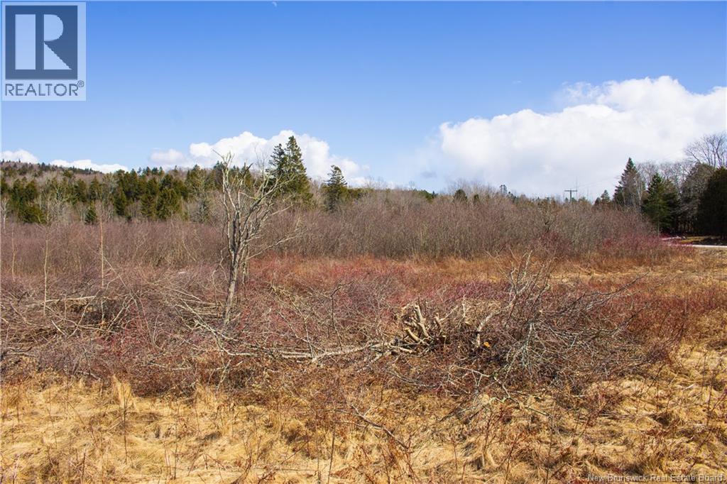 Lot Route 845, Kingston, New Brunswick  E5N 1E7 - Photo 5 - NB135803