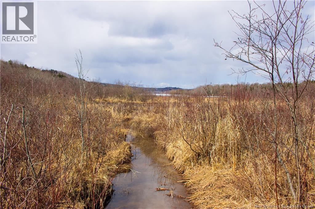 Lot Route 845, Kingston, New Brunswick  E5N 1E7 - Photo 6 - NB135803