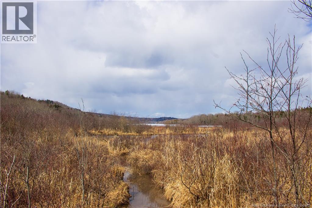 Lot Route 845, Kingston, New Brunswick  E5N 1E7 - Photo 7 - NB135803