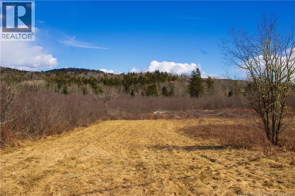 Lot Route 845, Kingston, New Brunswick  E5N 1E7 - Photo 9 - NB135803