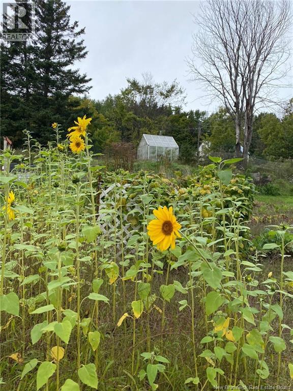 3181 Route 114, Edgetts Landing, New Brunswick  E4H 2E8 - Photo 40 - NB135767