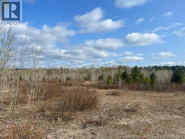 Commercial Lot Route 8, Boiestown, New Brunswick  E6A 1Z7 - Photo 14 - NB135873