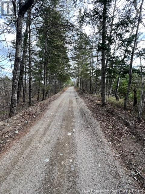 Commercial Lot Route 8, Boiestown, New Brunswick  E6A 1Z7 - Photo 17 - NB135873