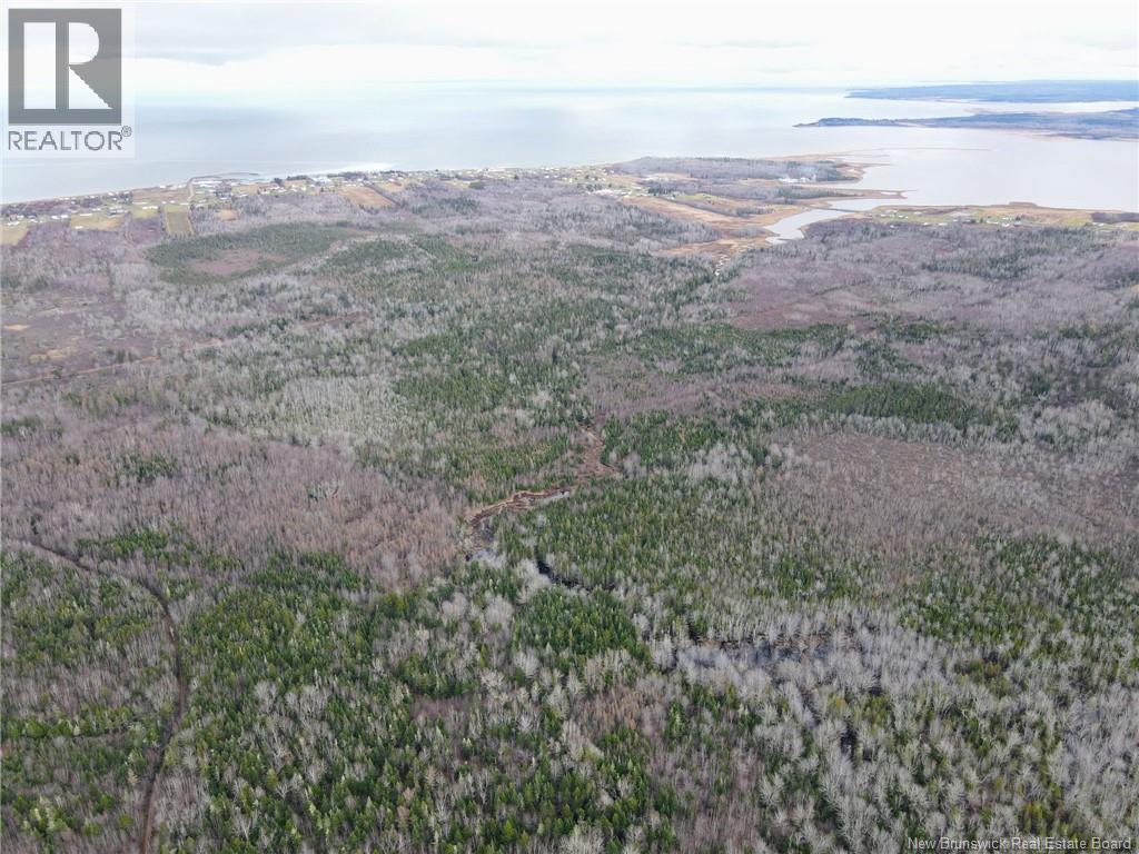 5376 Route 15, Shemogue, New Brunswick  E4N 2P5 - Photo 15 - NB135904