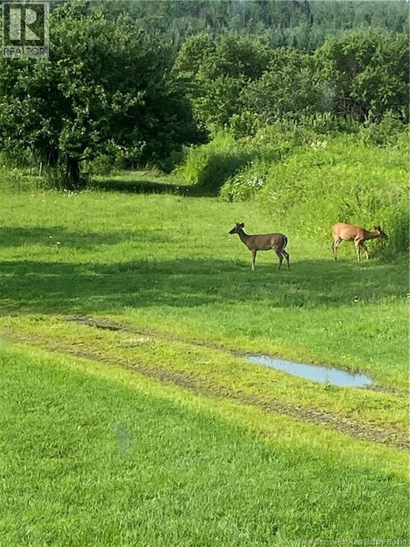 1359 Route 110, Royalton, New Brunswick  E7K 2C8 - Photo 14 - NB135765