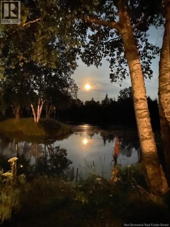 1359 Route 110, Royalton, New Brunswick  E7K 2C8 - Photo 19 - NB135765