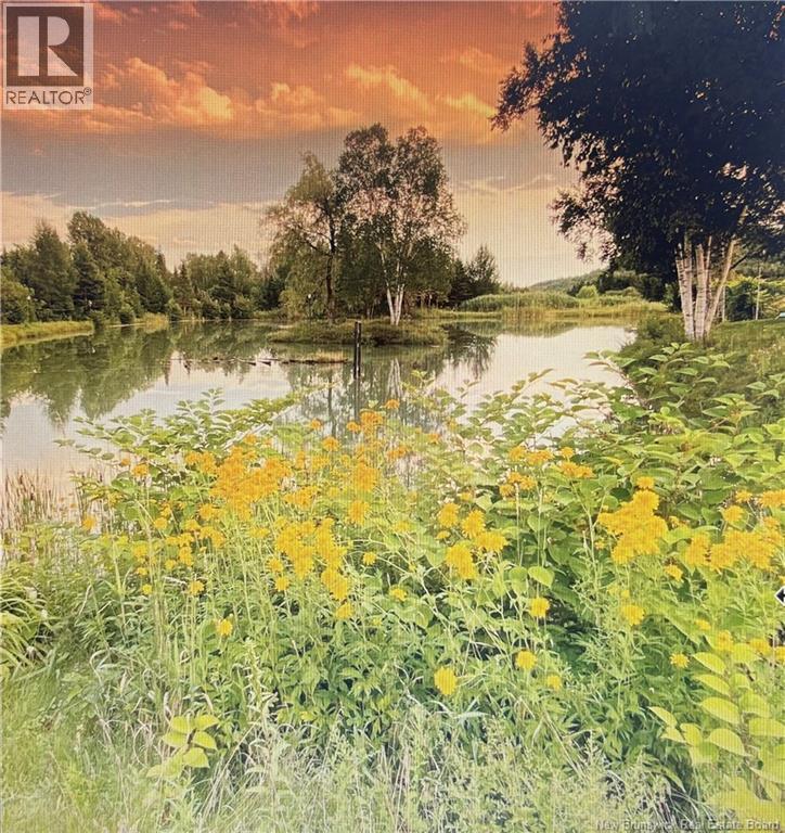 1359 Route 110, Royalton, New Brunswick  E7K 2C8 - Photo 32 - NB135765