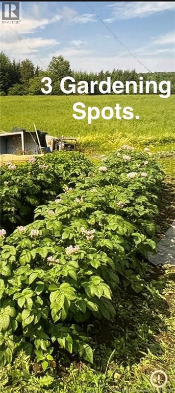 1359 Route 110, Royalton, New Brunswick  E7K 2C8 - Photo 44 - NB135765