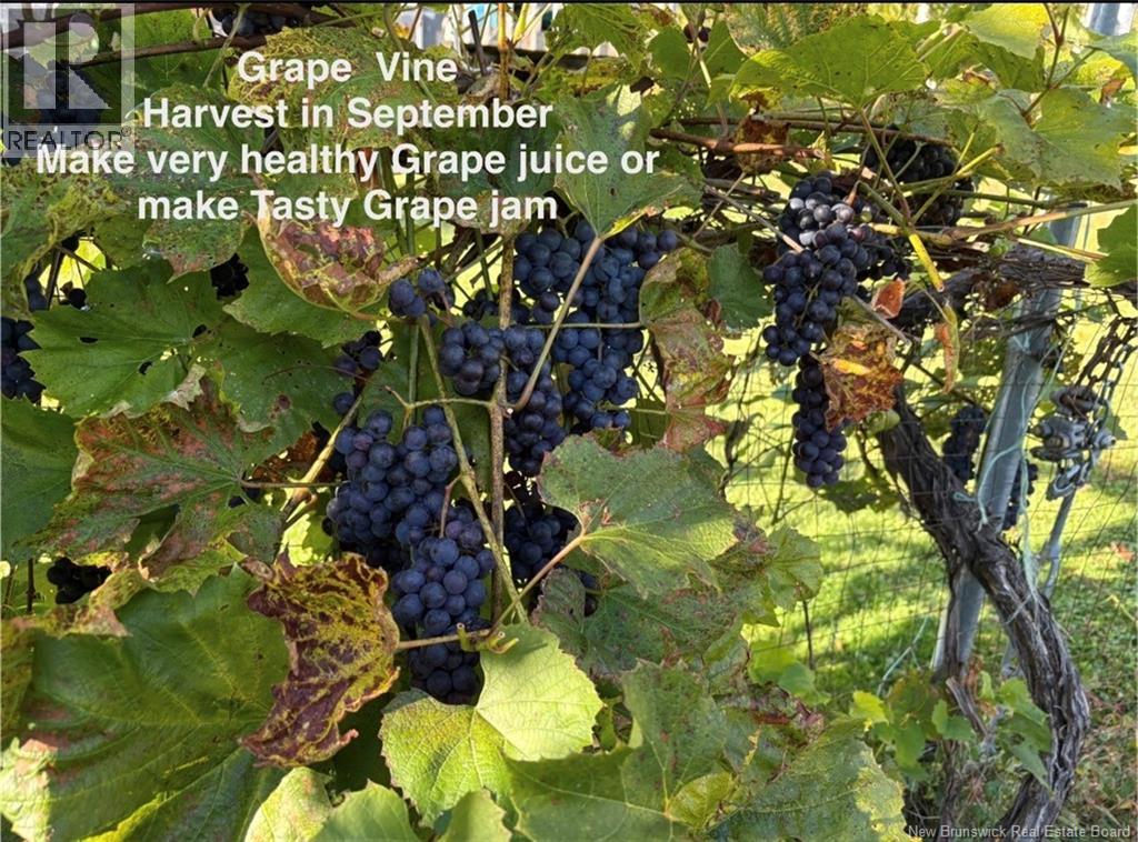 1359 Route 110, Royalton, New Brunswick  E7K 2C8 - Photo 45 - NB135765