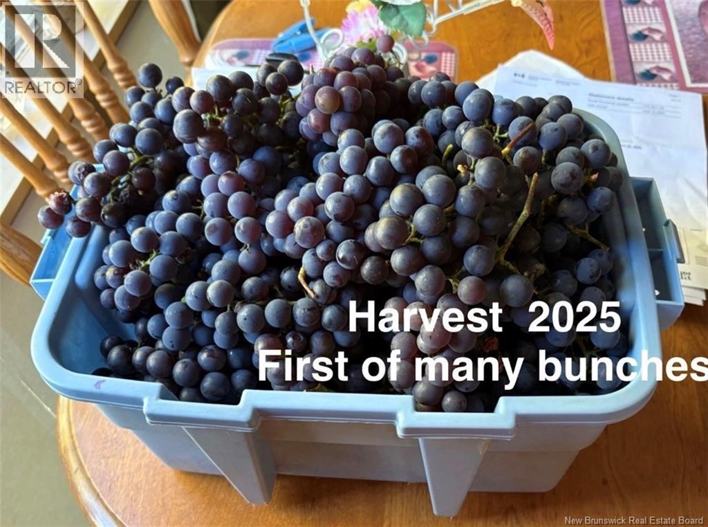 1359 Route 110, Royalton, New Brunswick  E7K 2C8 - Photo 46 - NB135765