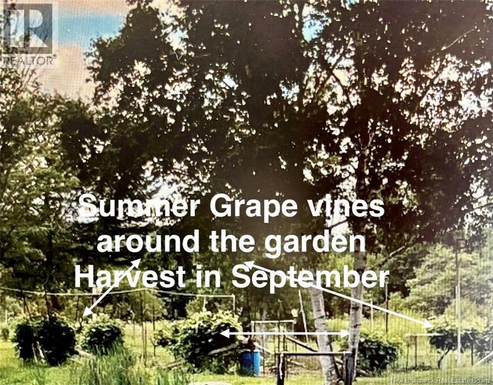 1359 Route 110, Royalton, New Brunswick  E7K 2C8 - Photo 47 - NB135765