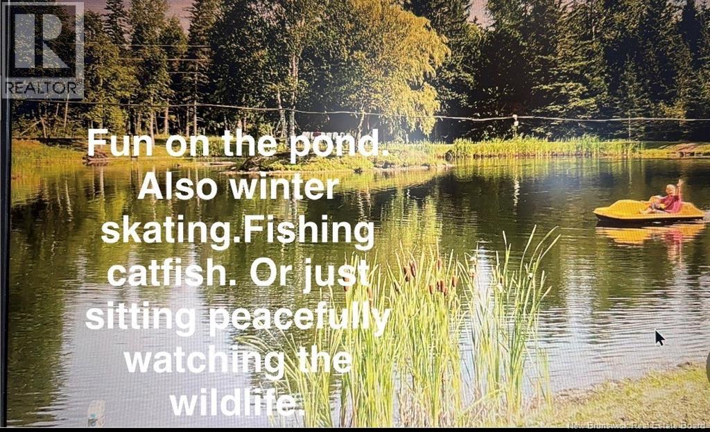 1359 Route 110, Royalton, New Brunswick  E7K 2C8 - Photo 48 - NB135765