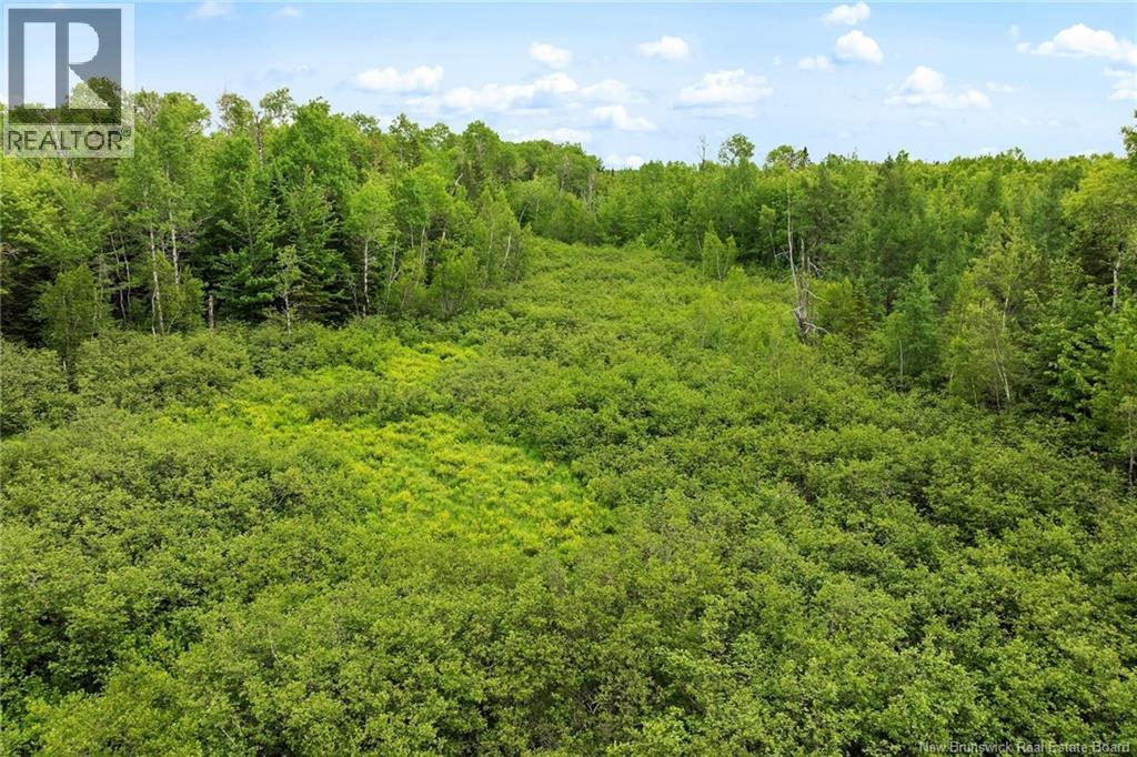/ Bronson Road, Chipman, New Brunswick  O0O 0O0 - Photo 10 - NB135942