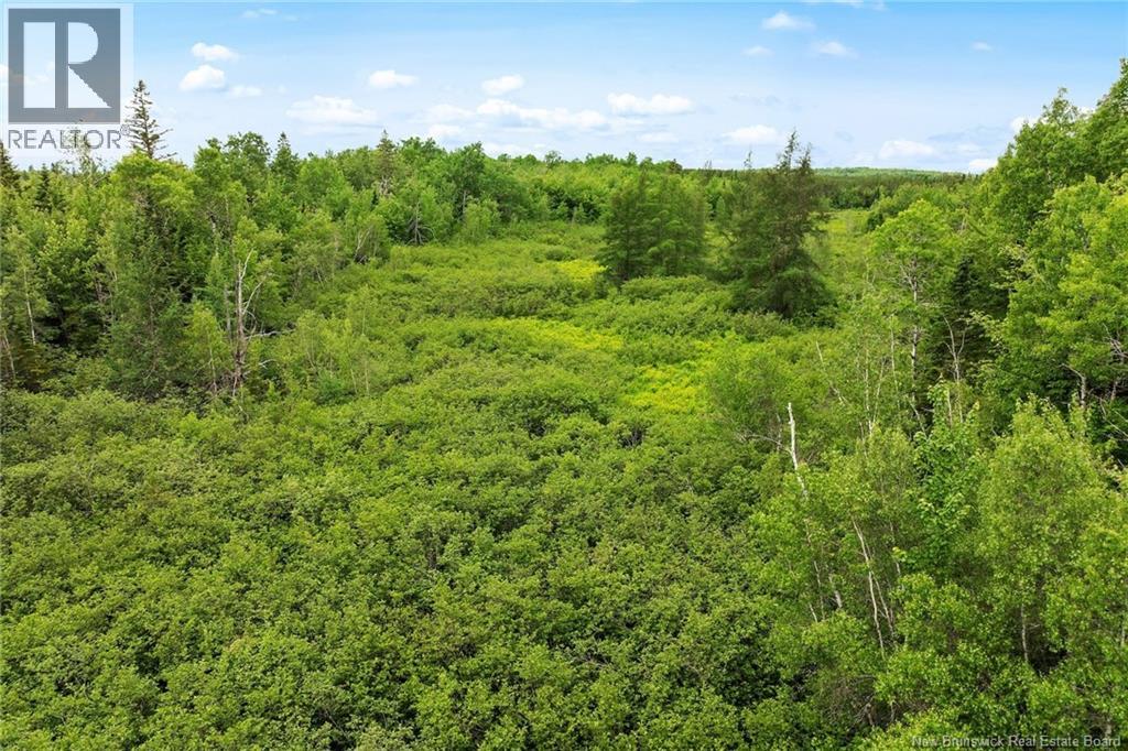 / Bronson Road, Chipman, New Brunswick  O0O 0O0 - Photo 11 - NB135942