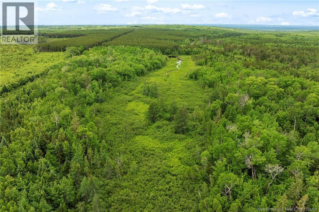 / Bronson Road, Chipman, New Brunswick  O0O 0O0 - Photo 12 - NB135942