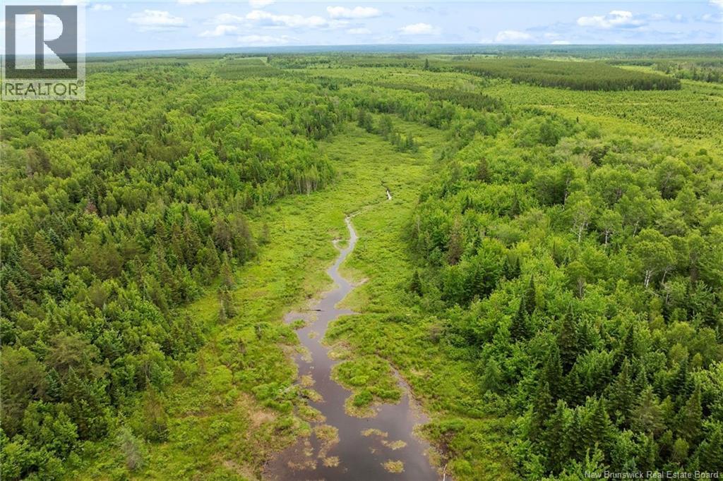 / Bronson Road, Chipman, New Brunswick  O0O 0O0 - Photo 13 - NB135942