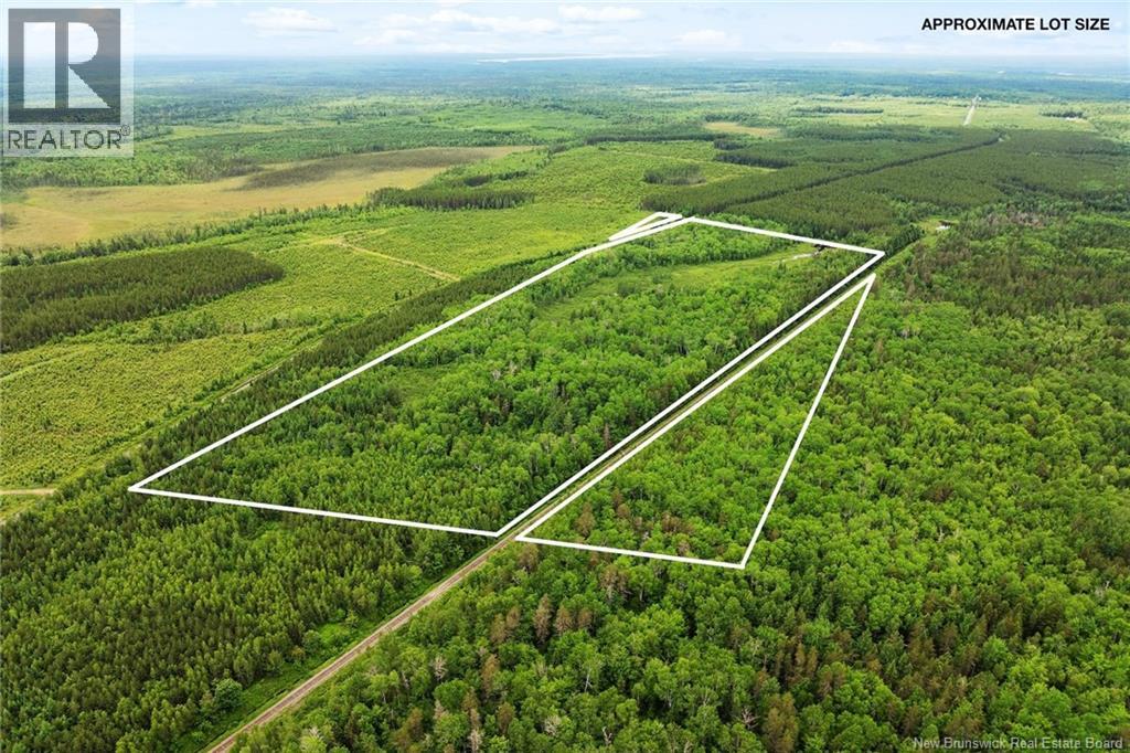 / Bronson Road, Chipman, New Brunswick  O0O 0O0 - Photo 3 - NB135942