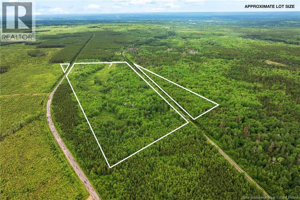 / Bronson Road, Chipman, New Brunswick  O0O 0O0 - Photo 4 - NB135942