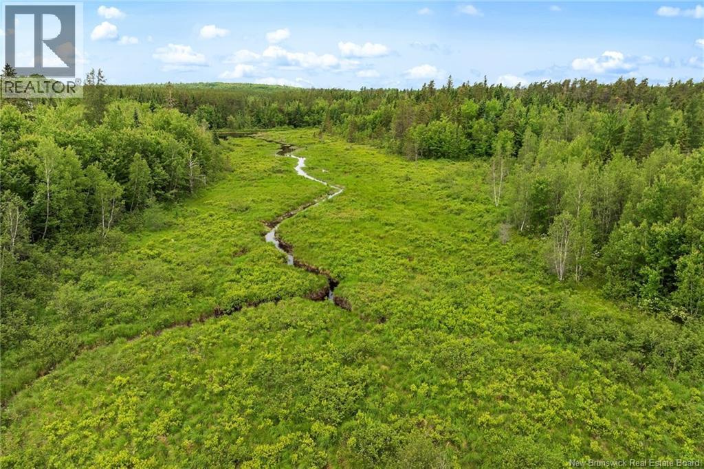 / Bronson Road, Chipman, New Brunswick  O0O 0O0 - Photo 5 - NB135942