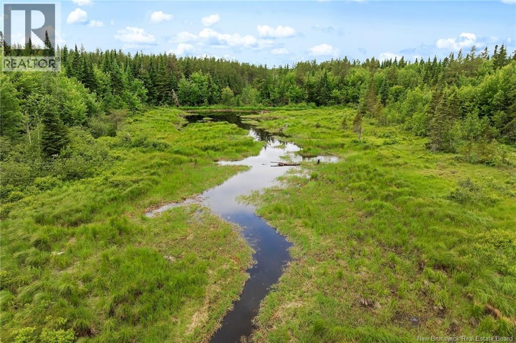 / Bronson Road, Chipman, New Brunswick  O0O 0O0 - Photo 6 - NB135942