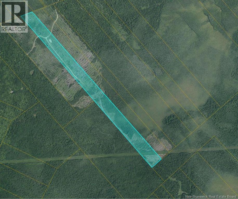 00 WOODLAND S MCKNIGHT GT2  - South Napan Rd 2nd Tier, Glenwood, New Brunswick