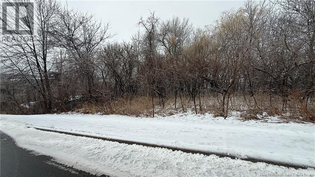 Lot Montieth Drive, Fredericton, New Brunswick  E3C 1L5 - Photo 9 - NB135976