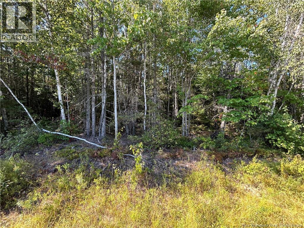 Lot 26-1 Upper Midland Road, Norton, New Brunswick E5T 1Z8 - Photo 2 - NB136155