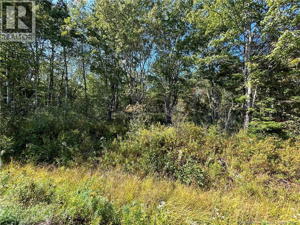 Lot 26-1 Upper Midland Road, Norton, New Brunswick E5T 1Z8 - Photo 4 - NB136155