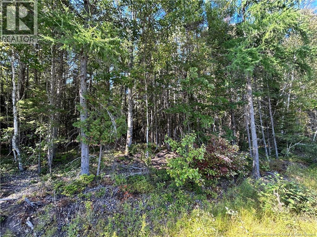 Lot 26-1 Upper Midland Road, Norton, New Brunswick E5T 1Z8 - Photo 7 - NB136155