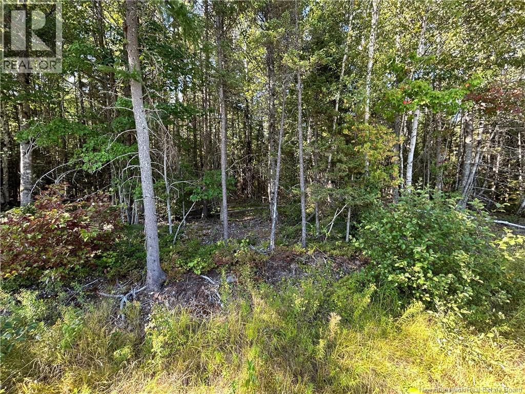 Lot 26-1 Upper Midland Road, Norton, New Brunswick E5T 1Z8 - Photo 8 - NB136155