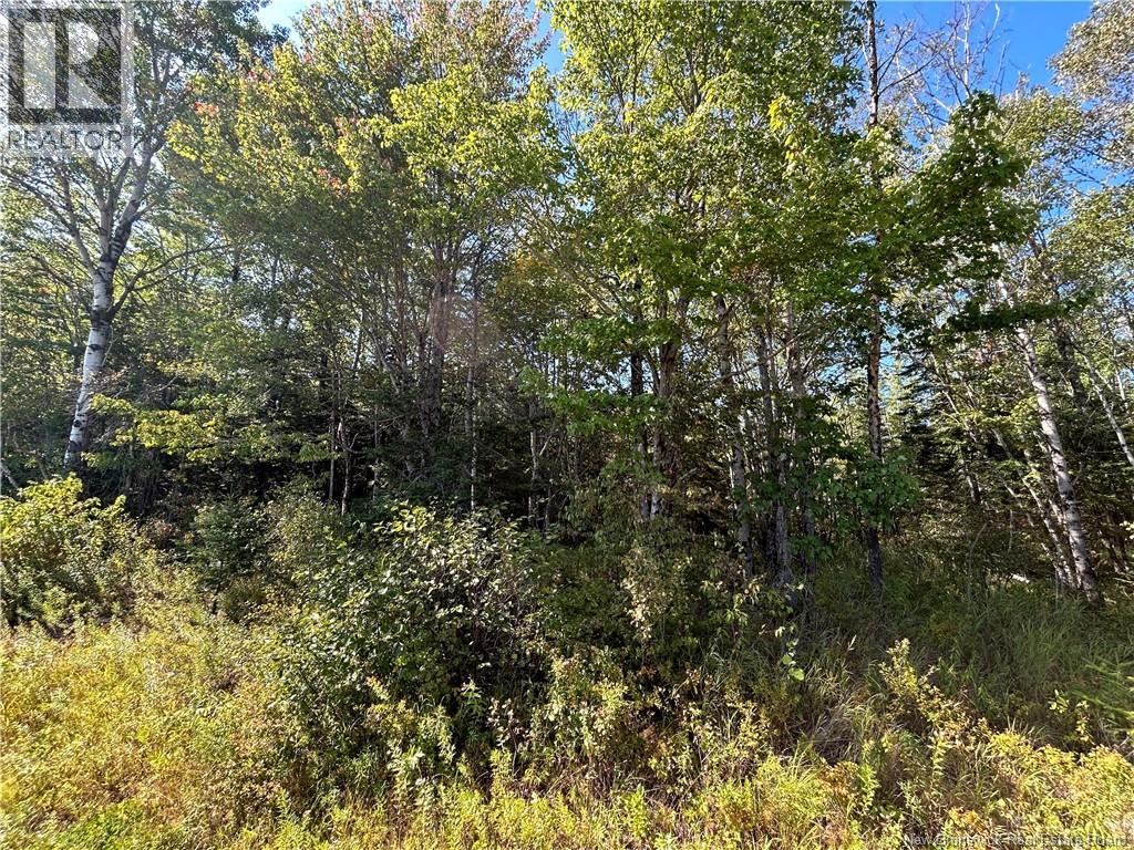 Lot 26-1 Upper Midland Road, Norton, New Brunswick E5T 1Z8 - Photo 9 - NB136155