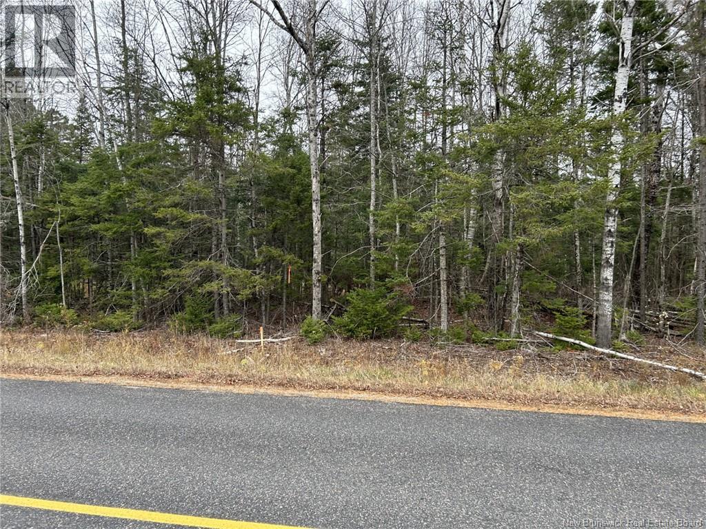 Lot 26-9 Route 855, Norton, New Brunswick  E5T 1Z8 - Photo 4 - NB136154