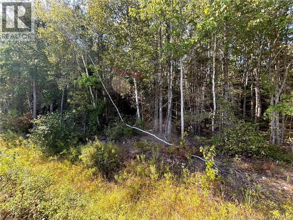 Lot 26-3 Upper Midland Road, Norton, New Brunswick