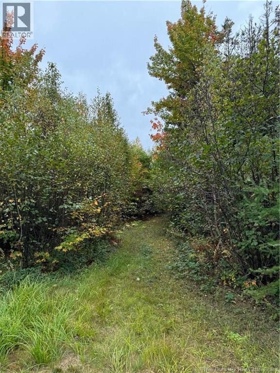 Lot 12-3 Wegesegum Road, Long Creek, New Brunswick E4A 2R7 - Photo 3 - NB136210