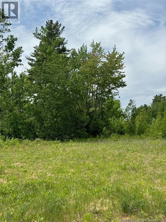Lot Sunset View Lane, Cumberland Bay, New Brunswick  E4A 3L9 - Photo 7 - NB135356