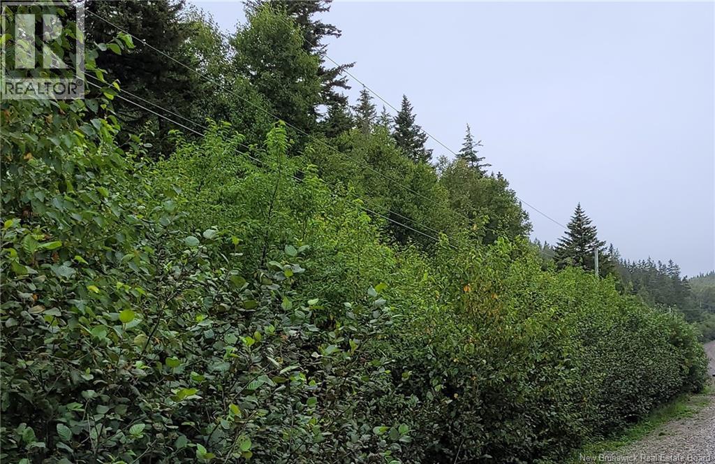 341 Fundy Drive, Wilsons Beach, New Brunswick E5E 1K7 - Photo 3 - NB136181