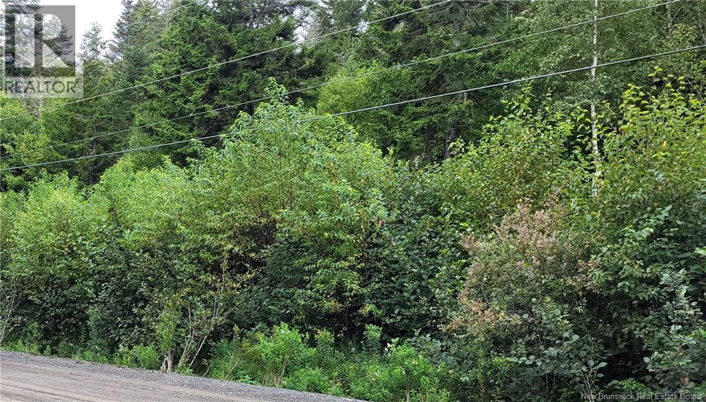 341 Fundy Drive, Wilsons Beach, New Brunswick E5E 1K7 - Photo 4 - NB136181